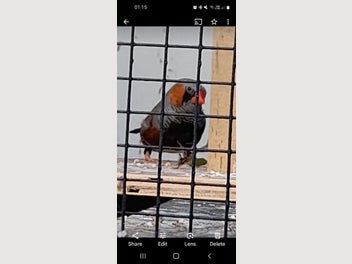 Image 1 of 7