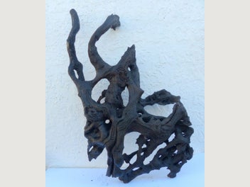 Image 1 of 15