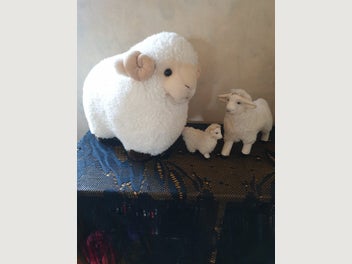 Image 1 of 9