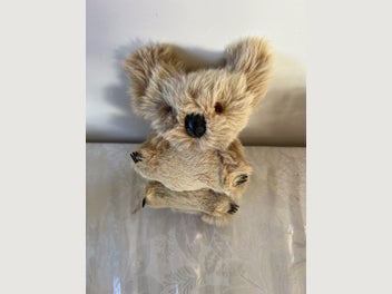 Image 1 of 13