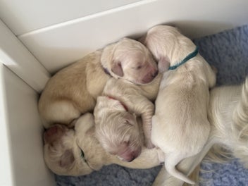 Image 1 of 8