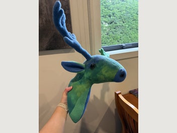Image 1 of 5