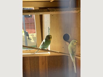 Image 1 of 16