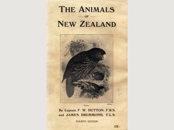 Image 1 of 15