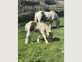 Image 1 of 15