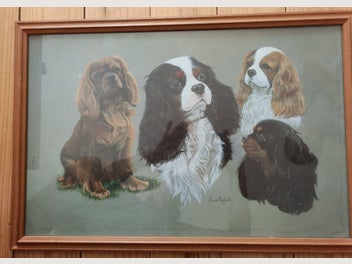 Image 1 of 6
