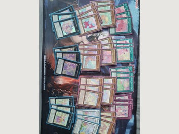 Image 1 of 7