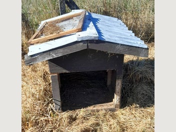 Image 1 of 2
