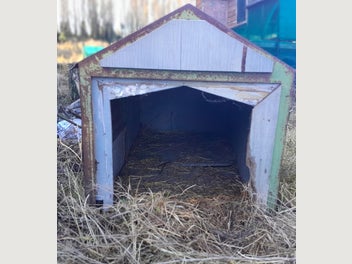Image 1 of 2