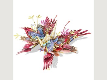 Image 1 of 7