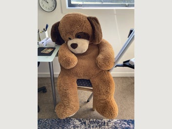 Image 1 of 1