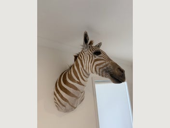 Image 1 of 7