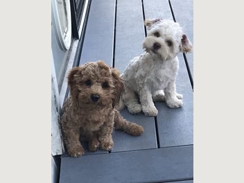 Image 1 of 19