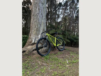 Image 1 of 7