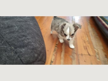 Image 1 of 5