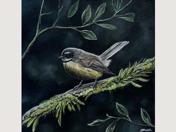Image 1 of 6