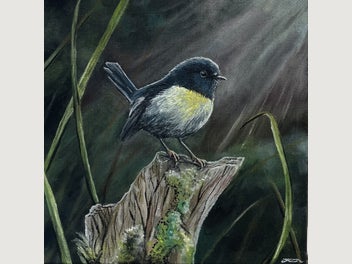 Image 1 of 6