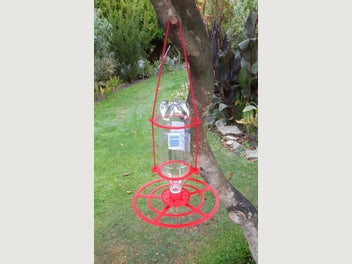 Image 1 of 4