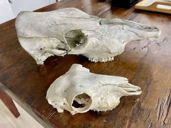 Image 1 of 5
