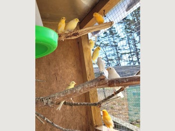 Image 1 of 16