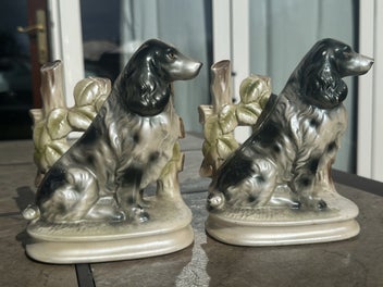 Image 1 of 8