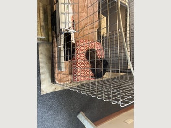 Image 1 of 13