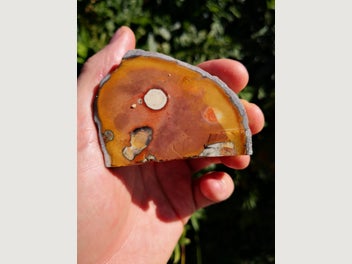 Image 1 of 8