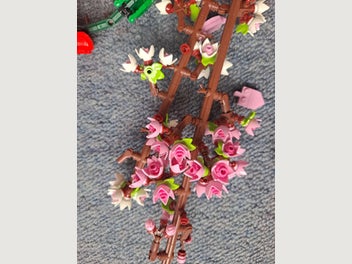 Image 1 of 8
