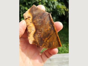 Image 1 of 7