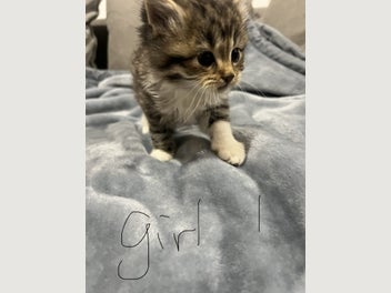 Image 1 of 14