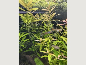 Image 1 of 17