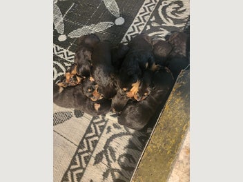 Image 1 of 10