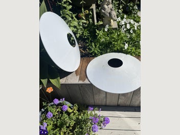 Image 1 of 7