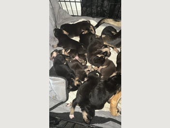 Image 1 of 11
