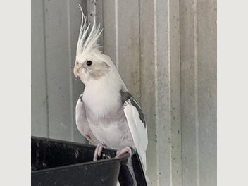 Image 1 of 6