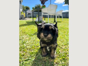 Image 1 of 16
