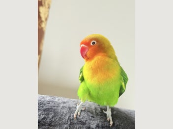 Image 1 of 8
