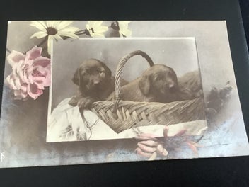 Image 1 of 1