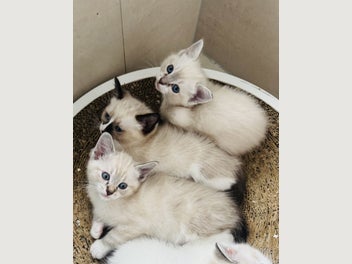 Image 1 of 13