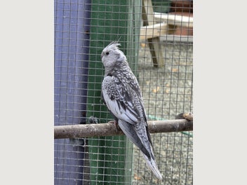 Image 1 of 17