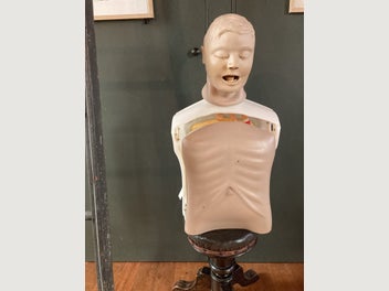 Image 1 of 11