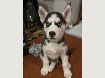 Image 1 of 10