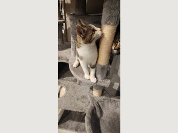 Image 1 of 5