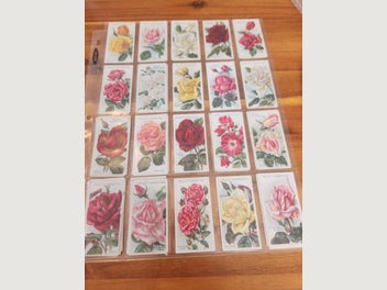 Image 1 of 8