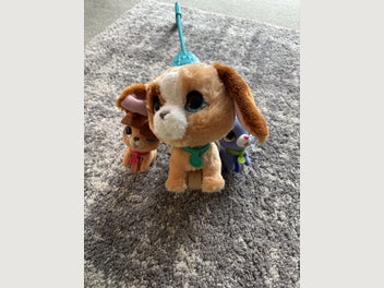 Image 1 of 5
