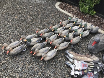 Image 1 of 6
