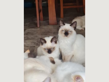Image 1 of 8