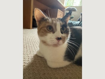 Image 1 of 13