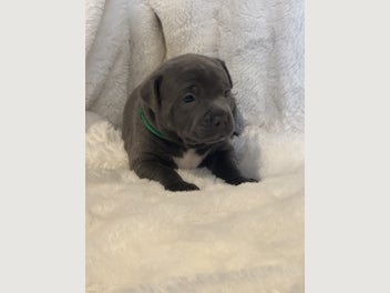 Image 1 of 18