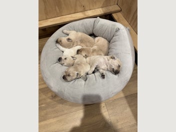 Image 1 of 14